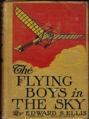 cover image of The Flying Boys in the Sky